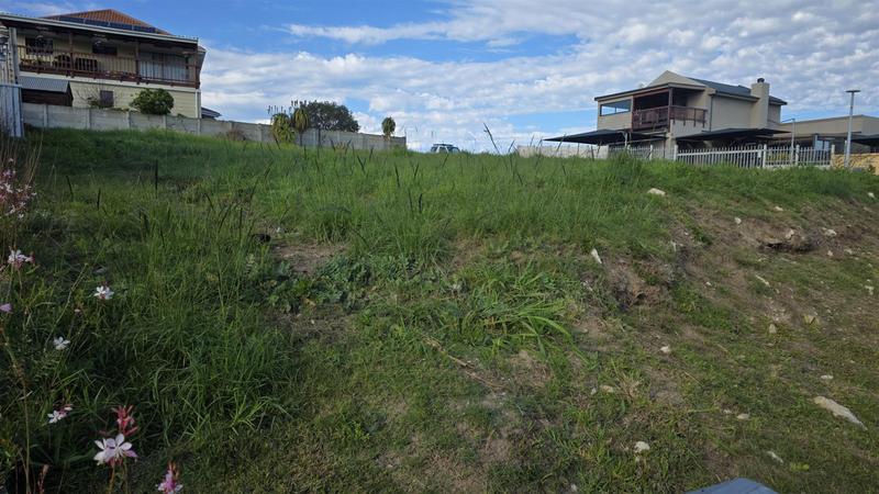 0 Bedroom Property for Sale in Reebok Western Cape